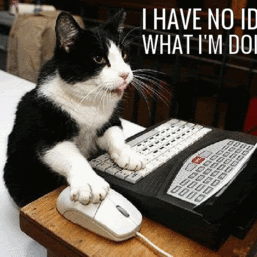 Marko Djuric's photo